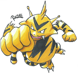 Kanto no. 125 Electabuzz