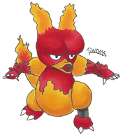 Kanto no. 126 Magmar