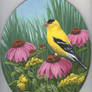 Goldfinch on a Coneflower