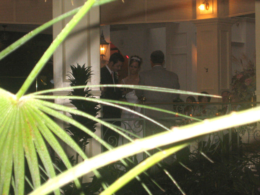 Mandi - Wedding 6 by spot on DeviantArt