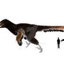 Angloraptor Wealdos