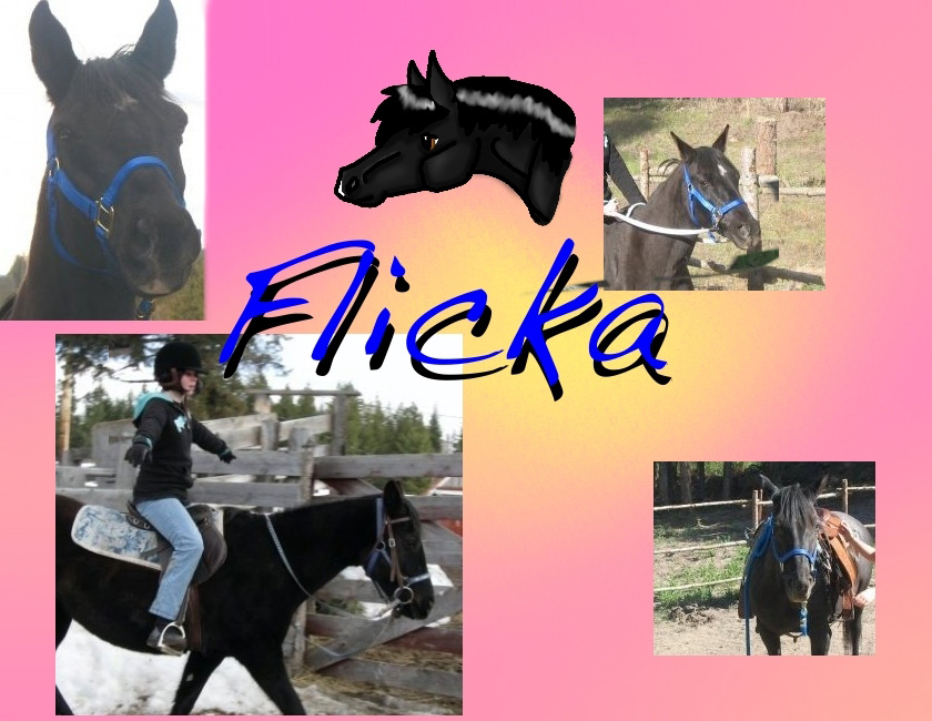 my friend flicka