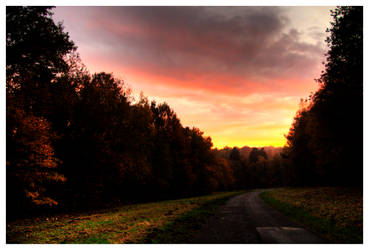 Autumn landscape