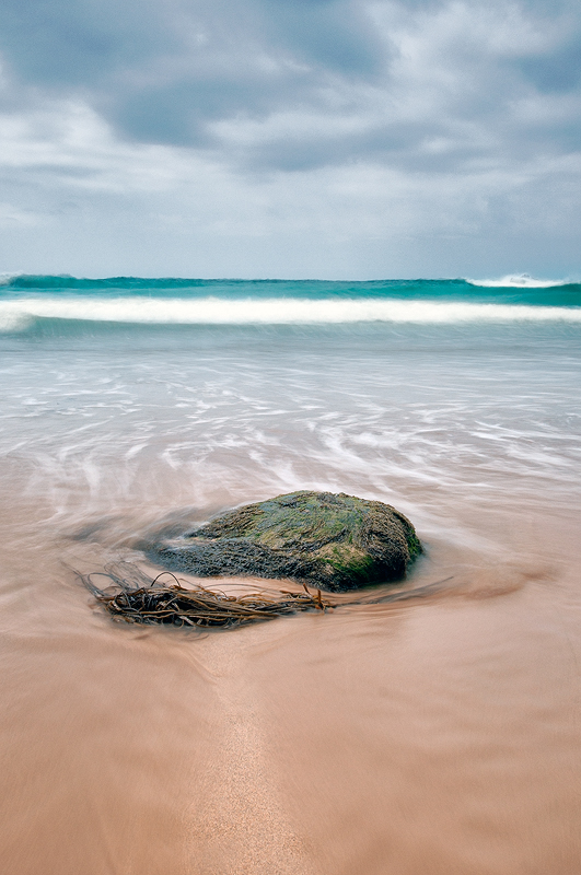 Seaweed and Stone