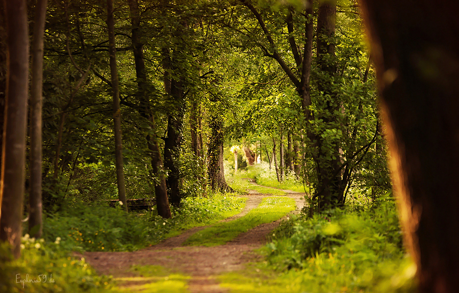 Promenade