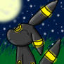 umbreon looking at the stars