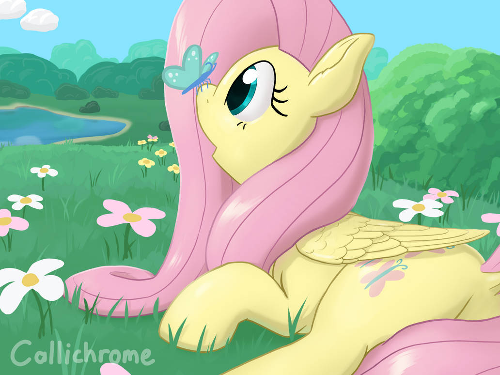 Flutteroll Deviantart Flutter Flutter by Callichrome on DeviantArt