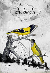 Birds.