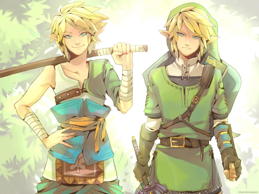Their link link. Линк Легенда о Зельде. Линк арт the Legend of Zelda. Одежда линка the Legend of Zelda.