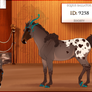 ID 9258