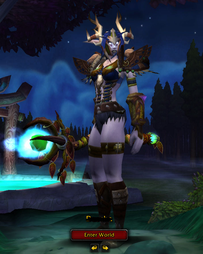 Cool Rogue Transmog.