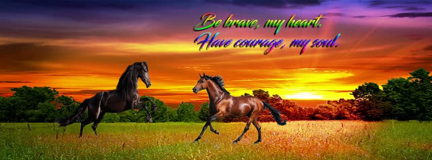 horses facebook cover photo by mowanda on DeviantArt