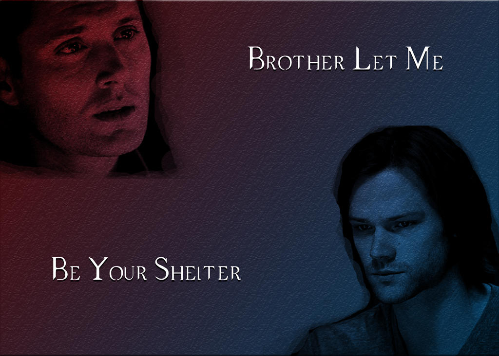 Brother Let Me Be Your Shelter Brother Let Me Be Your Shelter