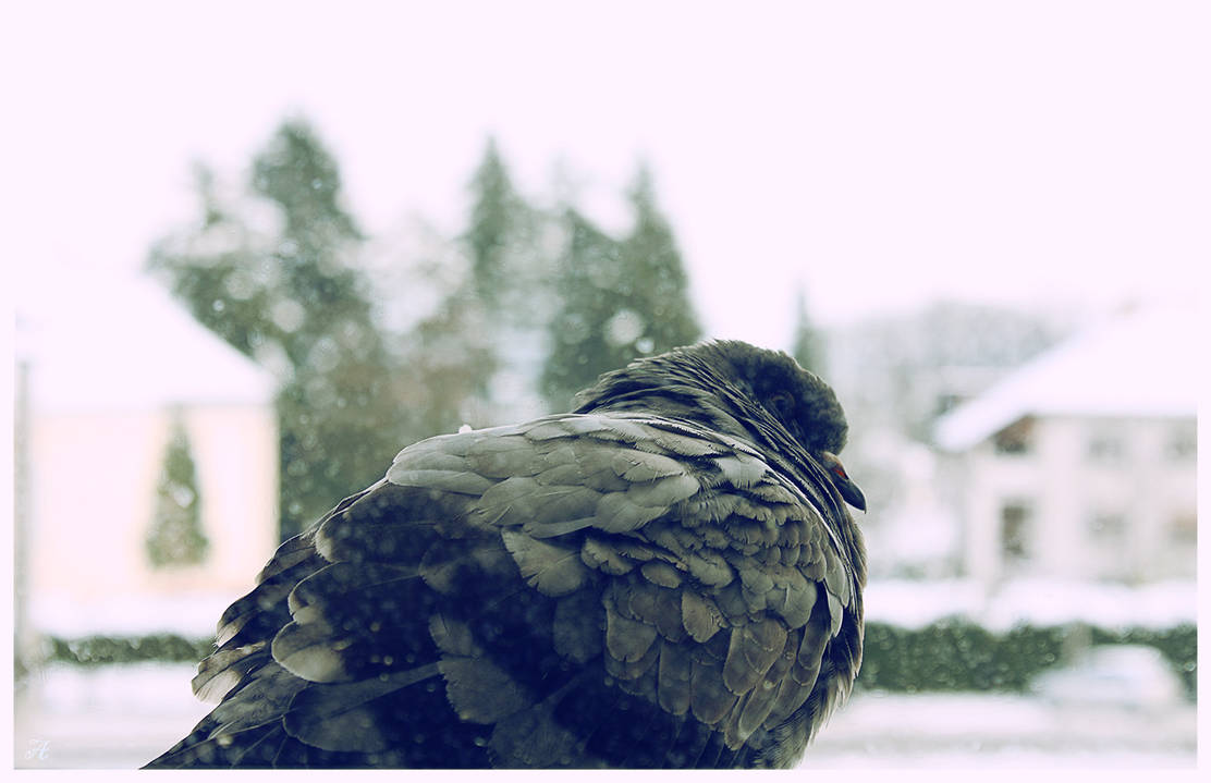 Very Cold Out It is very cold outside by AnalyzerCro on DeviantArt
