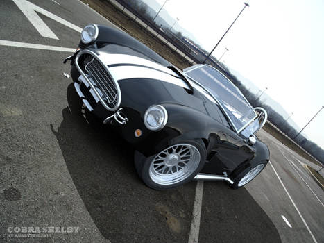 Cobra Shelby - 2011 render