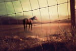 See you on the other side by Besaid