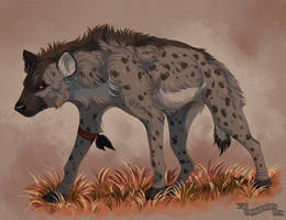 Hyena