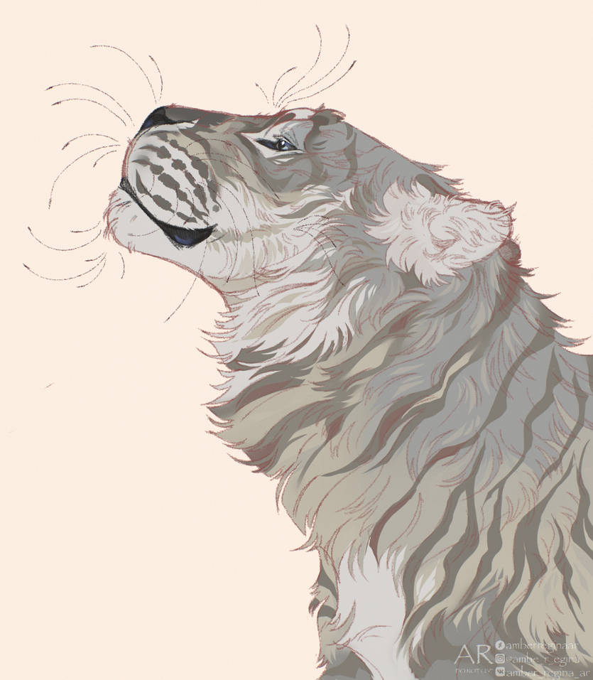 Gentle Tiger By AmberReginaAR On DeviantArt gentle-tiger-by-amberreginaar-on-deviantart