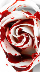 the bloody rose