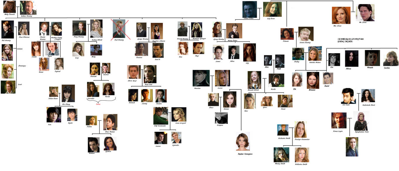 Harry James Potter Family Tree Harry Potter Family Tree Explained