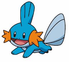 #258 Mudkip