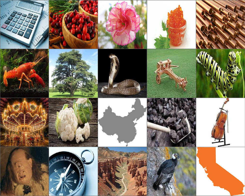 Letter C Collage by Amelia411 on DeviantArt