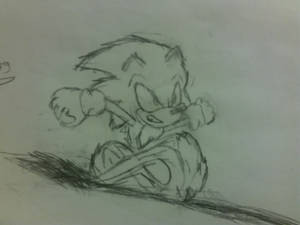 Sonic the hedgehog