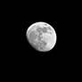 Gibbous Moon