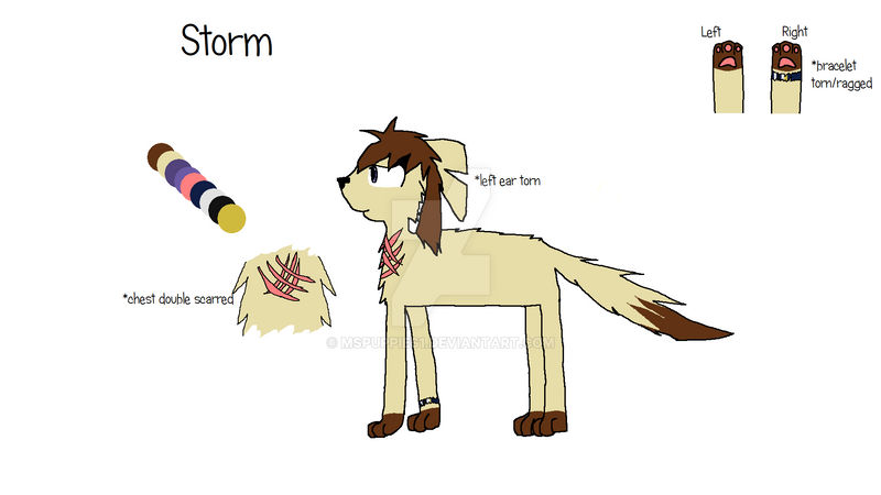 Storm Reference Sheet by MsPuppies1 on DeviantArt