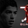 Suarez7