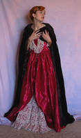 Cloaked Elegant Gown 1