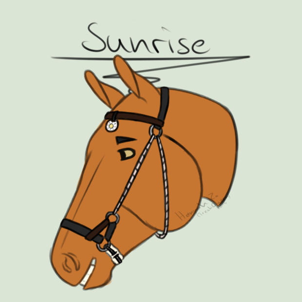 .:Sunrise Color Bridle 1:.