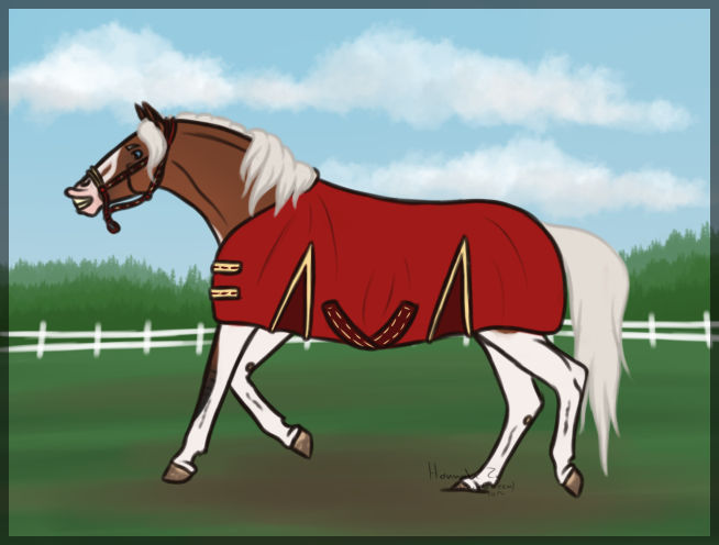 Grumpy Rodeo Horse .: Grumpy Horse is happy :. by TreckyQueen on DeviantArt