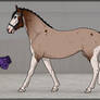 Horse Adoptable - Bay Roan Splash *Sold*