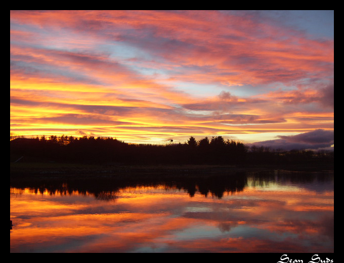 Pink Sky Sunset