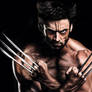 The Wolverine - Hugh Jackman
