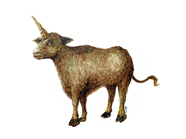 Camahueto by museodelassombras on DeviantArt