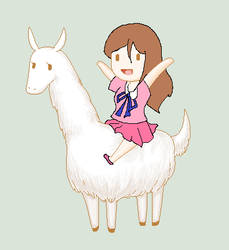 me riding a llama xDDD