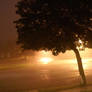 5a.m fog
