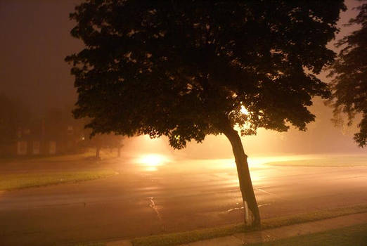 5a.m fog