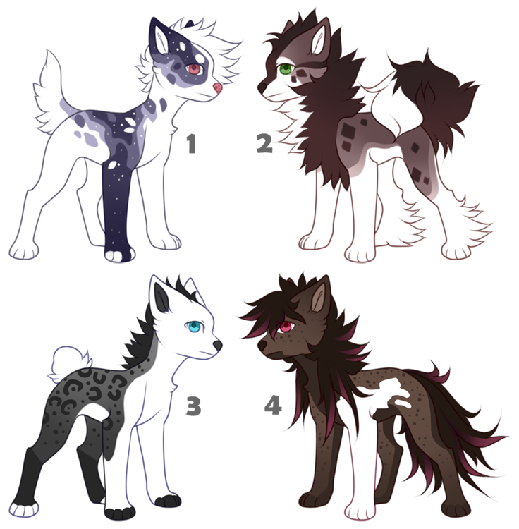 USD Dog Adopts (0/4) - CLOSED