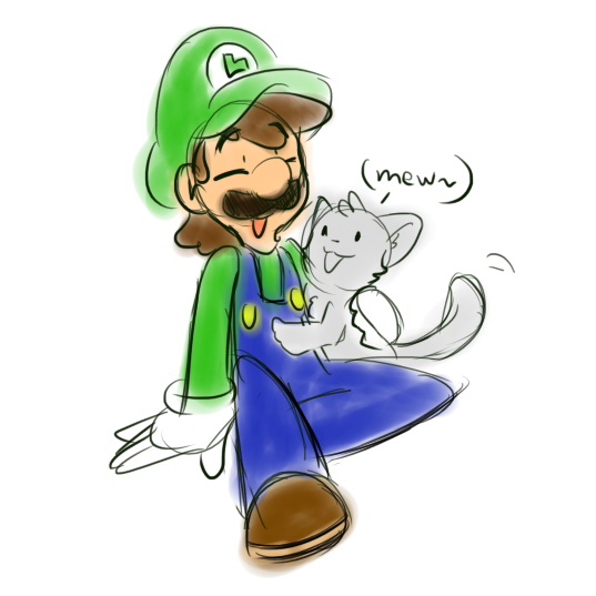 luigi's cat