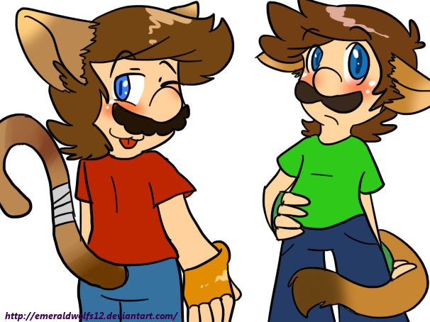 Cat Mario And Luigi By Mariobrosyaoifan12 On Deviantart