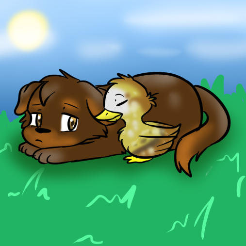 Duck and a Puppy