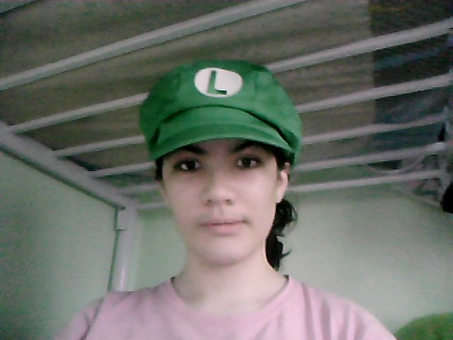 Luigi Hat XD