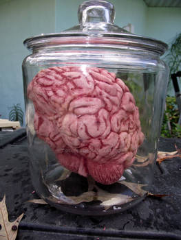 Brain in a Jar