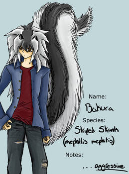 Profile: Skunk-Bakura
