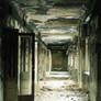 Corridors of silence