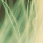 Calm by x-a-e