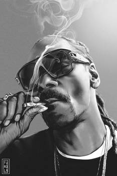 Snoop-